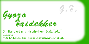 gyozo haidekker business card